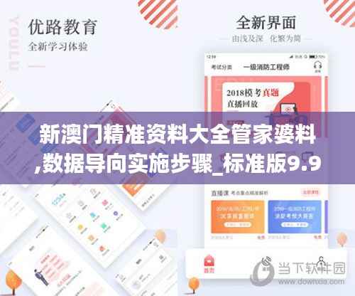 新澳门精准资料大全管家婆料,数据导向实施步骤_标准版9.927