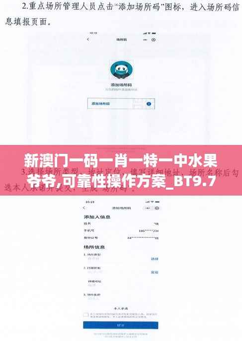 新澳门一码一肖一特一中水果爷爷,可靠性操作方案_BT9.715