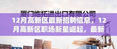 揭秘最新招聘大潮，高新区职场新星崛起与十二月招聘信息汇总
