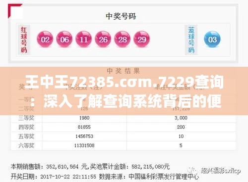 王中王72385.cσm.7229查询：深入了解查询系统背后的便捷与高效