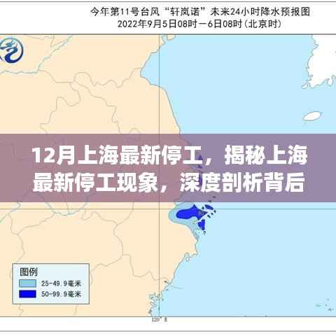揭秘上海最新停工现象，深度剖析背后的原因、影响及停工背后的故事