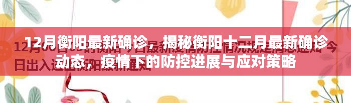 揭秘衡阳最新确诊动态，疫情下的防控进展与应对策略
