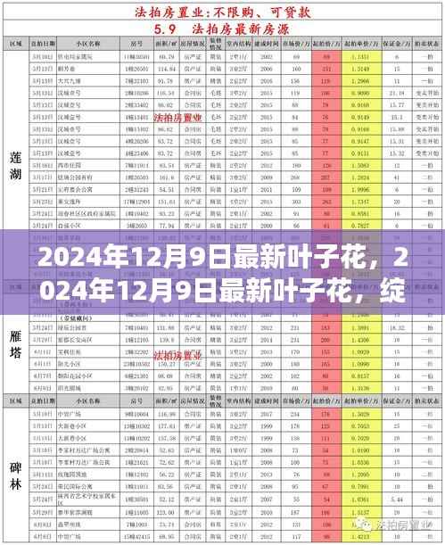 科技与自然的完美融合，最新叶子花在2024年12月9日的绽放之美