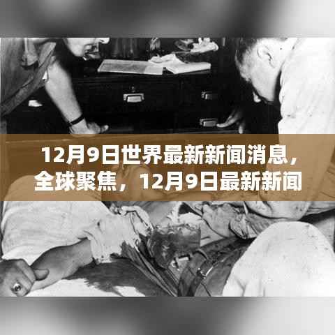 全球聚焦，深度解析全球最新新闻动态（12月9日）