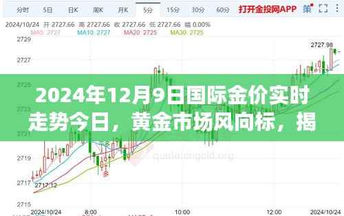 揭秘黄金市场风向标，今日国际金价实时走势分析（2024年12月9日）