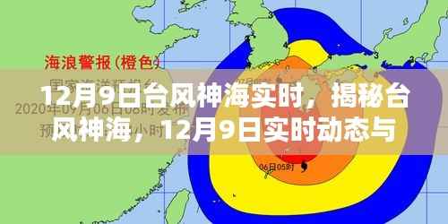 揭秘台风神海,实时动态与影响分析(12月9日更新)