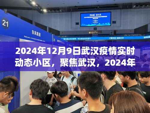 2024年武汉小区疫情实时动态报告，聚焦新观察与进展