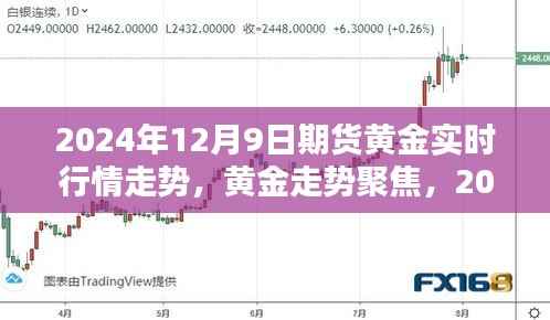 2024年12月9日期货黄金行情深度解析，实时走势与聚焦