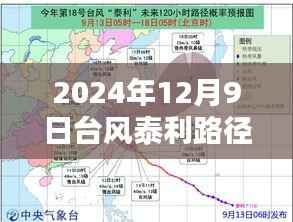 见缝就钻 第4页