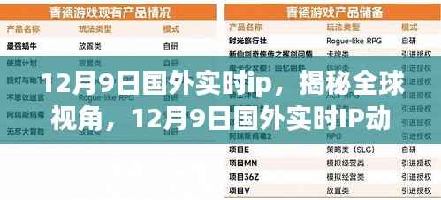 全球视角揭秘,12月9日国外实时IP动态解析与违法犯罪问题探讨