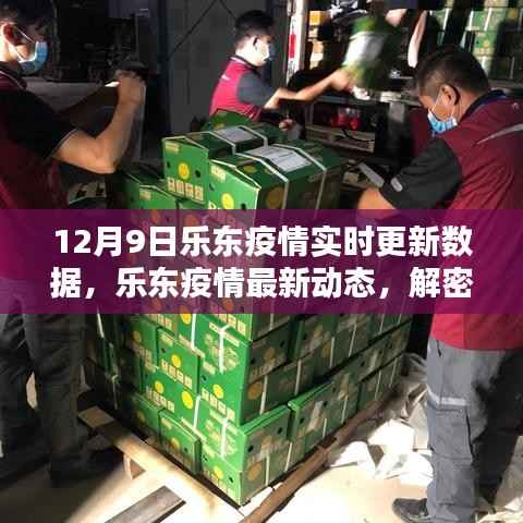 乐东疫情最新动态及实时更新数据报告（截至12月9日解密）