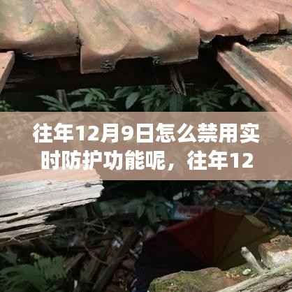 如何暂时禁用实时防护功能？安全专家详解往年12月9日的步骤与注意事项