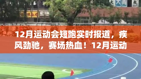 12月运动会短跑盛况实录,疾风劲驰,赛场热血澎湃