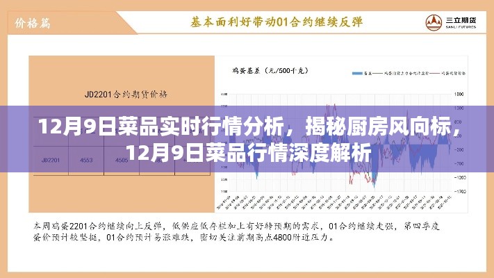揭秘厨房风向标,深度解析12月9日菜品实时行情