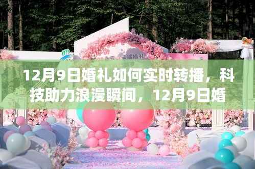 科技助力浪漫瞬间，12月9日婚礼云端实时直播攻略