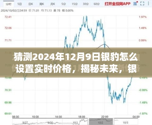 揭秘未来银豹实时价格设置，银豹软件在2024年12月9日的实时价格调整指南