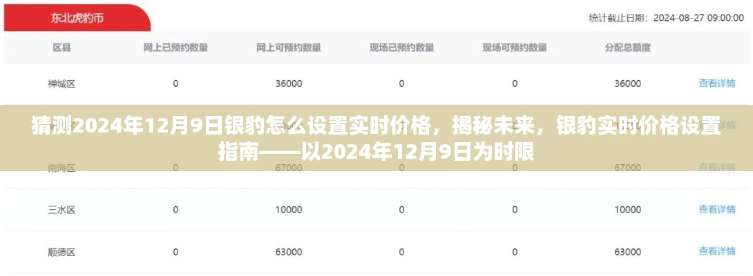 揭秘未来银豹实时价格设置,银豹软件在2024年12月9日的实时价格调整指南
