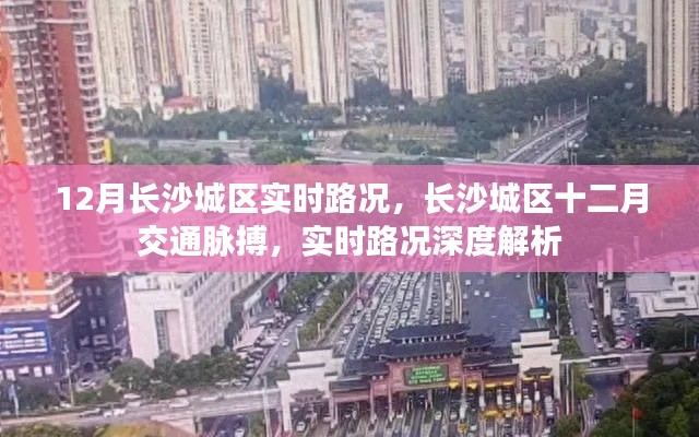 长沙城区十二月实时路况深度解析，把握城市交通脉搏