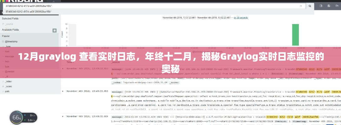 年终十二月揭秘Graylog实时日志监控的奥秘,查看实时日志的指南