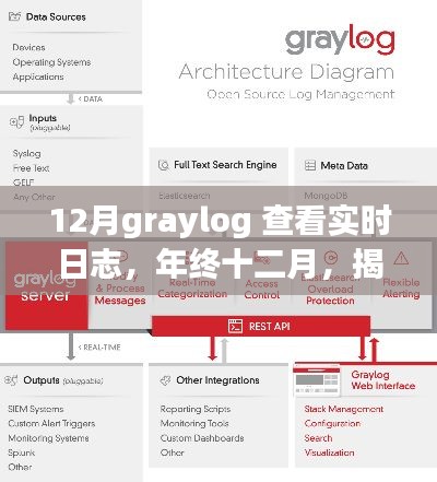 年终十二月揭秘Graylog实时日志监控的奥秘,查看实时日志的指南