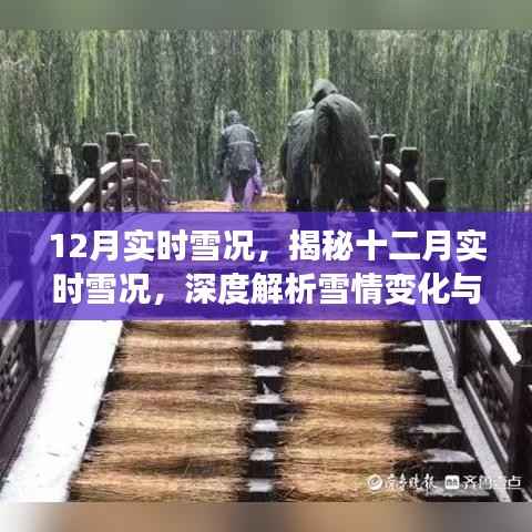 揭秘十二月实时雪况，深度解析与冬季户外活动指南