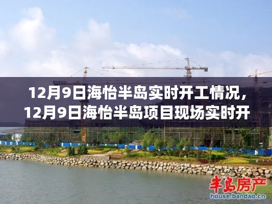 揭秘，海怡半岛项目现场实时开工情况，最新进展报道（12月9日）