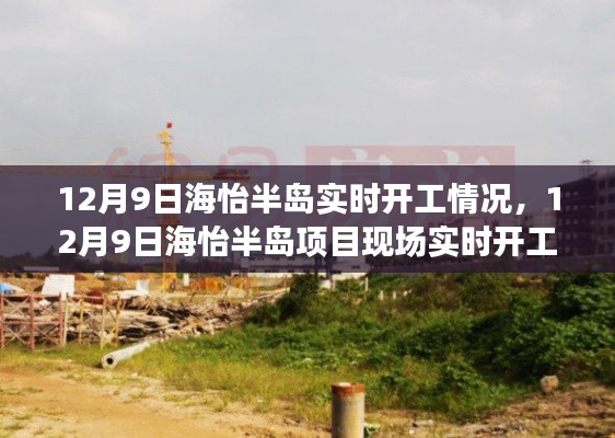 揭秘,海怡半岛项目现场实时开工情况,最新进展报道(12月9日)