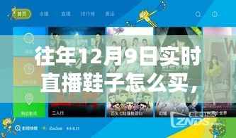 时尚鞋履选购指南,往年直播回顾与实时直播教你如何选购潮流鞋款,打造潮流步伐