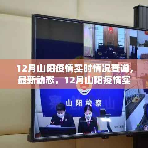12月山阳疫情实时跟踪与查询，最新动态及情况跟踪报告