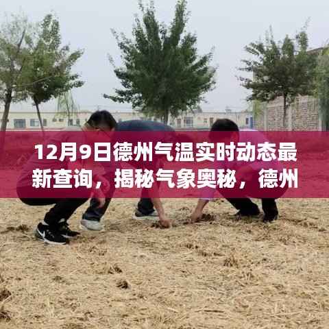 揭秘气象奥秘，德州气温实时动态变化，掌握冬季气候最新动向