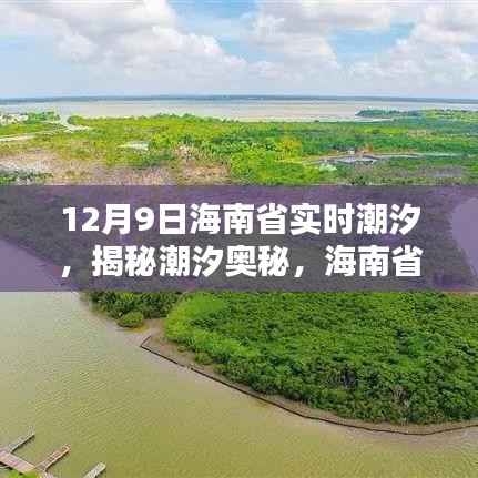 揭秘潮汐奥秘,海南省实时潮汐动态解析(以12月9日为例)