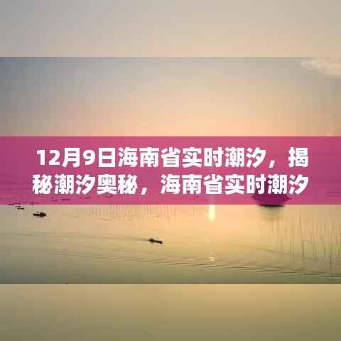 揭秘潮汐奥秘,海南省实时潮汐动态解析(以12月9日为例)