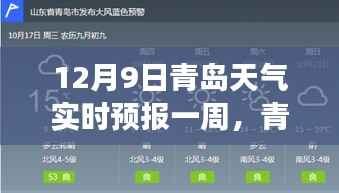 揭秘青岛天气多变面纱,12月9日及未来一周天气预报实时更新
