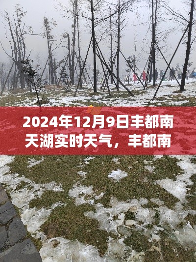 丰都南天湖惊艳亮相，实时天气体验报告