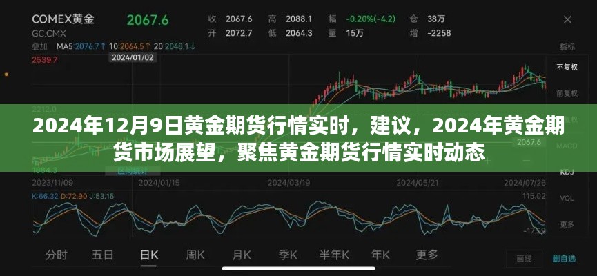 聚焦黄金期货行情实时动态，建议与展望（2024年黄金期货市场深度解析）
