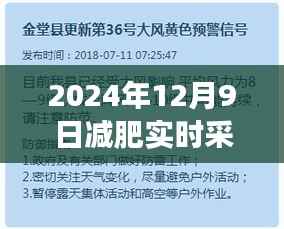 减肥之路,聚焦深度实时采访记录与洞察——2024年12月9日