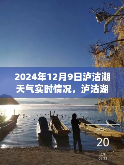 泸沽湖探秘,揭秘泸沽湖天气实时报告,2024年12月9日最新天气情况分析