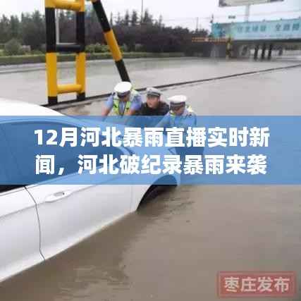 河北破纪录暴雨来袭，实时新闻报道全面解析，直击罕见雨情直播报道
