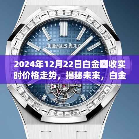 揭秘未来白金回收市场走势，以2024年12月22日为中心的观察