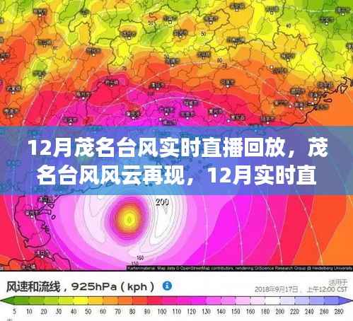 茂名台风风云再现,深度解析与实时直播回放回顾