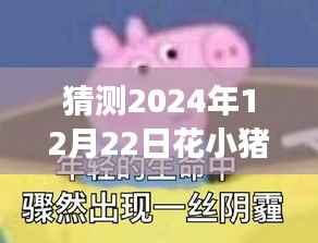 揭秘未来，花小猪打车在2024年12月22日的实时订单预测分析