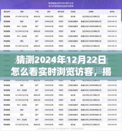 揭秘未来，洞察2024年12月22日实时浏览访客动态的策略与趋势分析