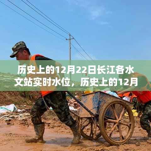 揭秘长江水情变迁，历史上的12月22日长江各水文站实时水位记录分析