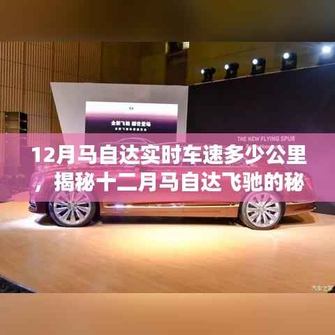 揭秘十二月马自达实时车速与驾驶体验，飞驰的秘密与监控数据解读