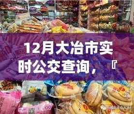 12月大冶市实时公交详解,掌握公交出行,同步城市脉搏
