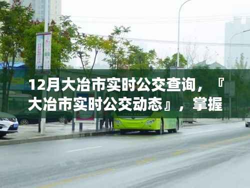12月大冶市实时公交详解,掌握公交出行,同步城市脉搏