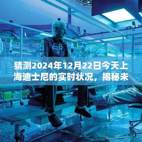 揭秘未来，上海迪士尼乐园在冬至日的实时盛况预测（2024年12月22日）