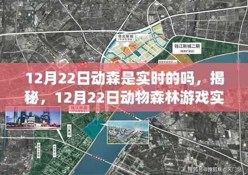 揭秘,12月22日动物森林游戏实况探索与实时性探讨