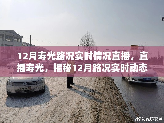 揭秘寿光12月路况实时动态，直播交通脉络，洞悉实时动态
