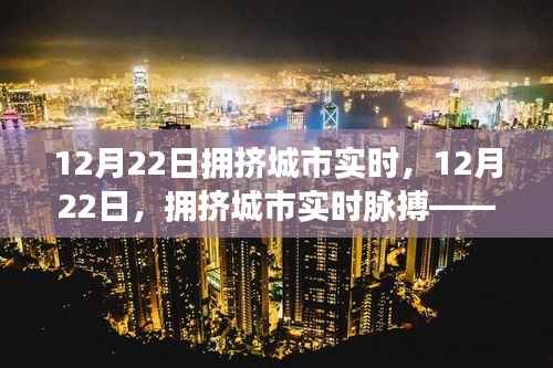 12月22日拥挤城市实时脉搏，探寻都市生活的快节奏与应对之策